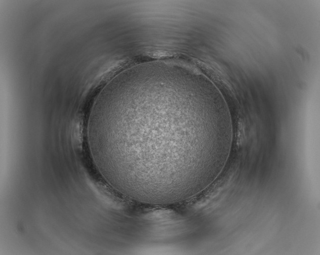 X0000112770210200908271648