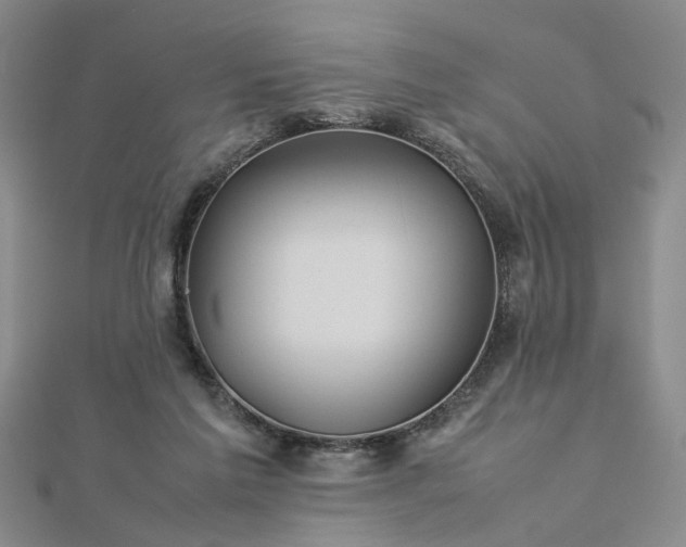 X0000112770213200908271648