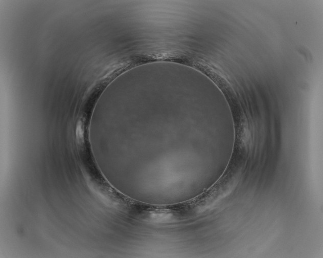 X0000112770214200908271648