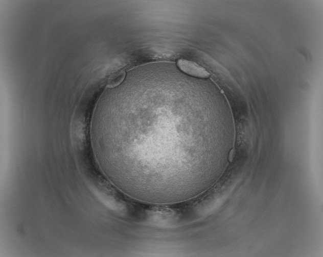 X0000112770215200908271648