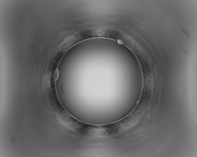 X0000112770217200908271648