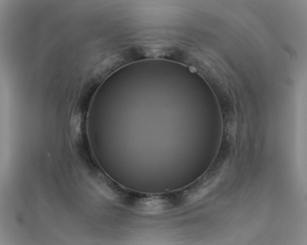 X0000112770219200908271648