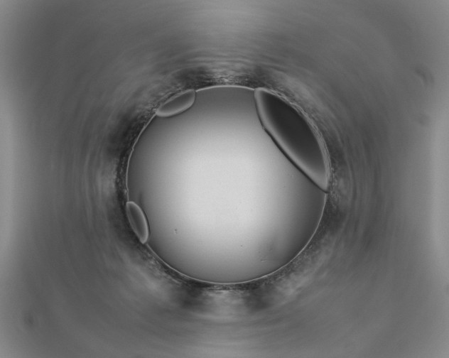 X0000112770221200908271648