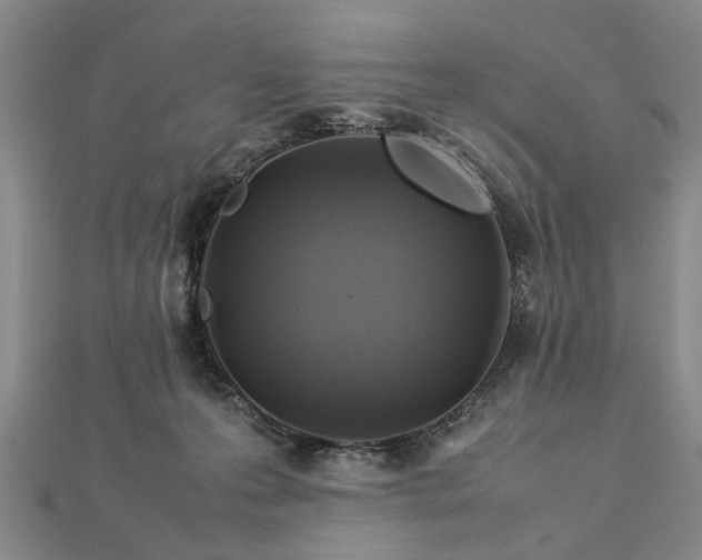 X0000112770223200908271648