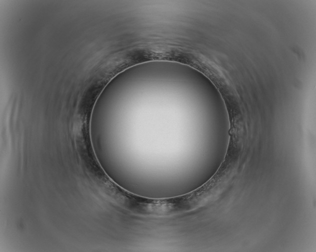 X0000112770225200908271648