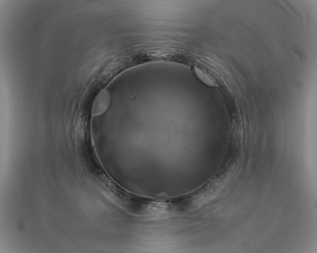 X0000112770227200908271648