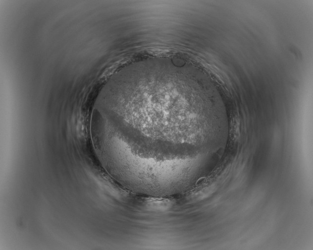 X0000112770234200908271648