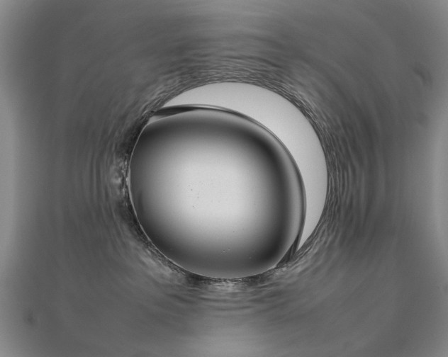 X0000112770237200908271648