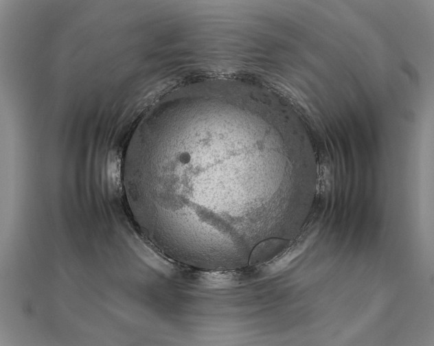 X0000112770238200908271648