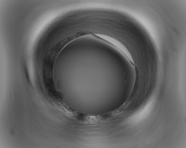 X0000112770239200908271648