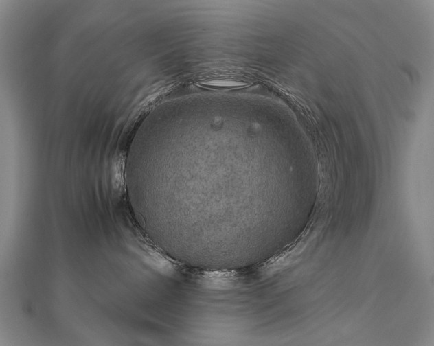 X0000112770240200908271648