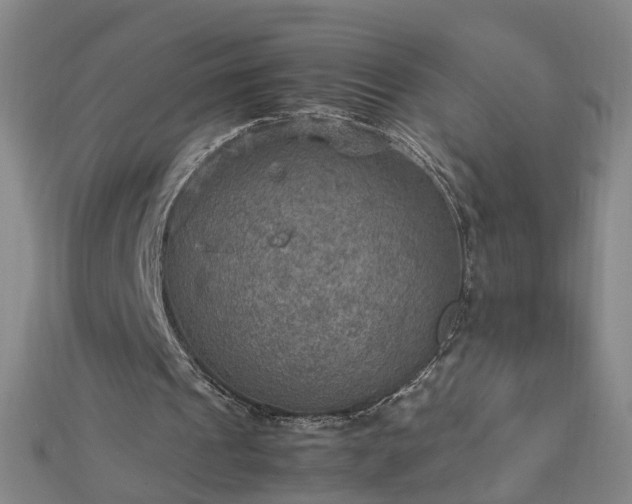 X0000112770241200908271647