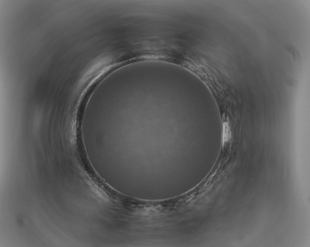 X0000112770243200908271648