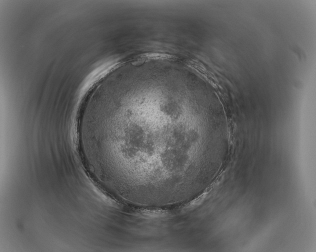 X0000112770245200908271648