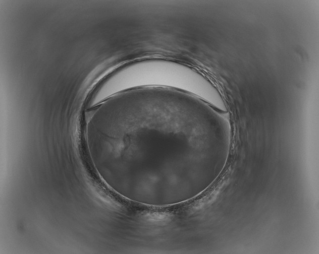 X0000112770247200908271648