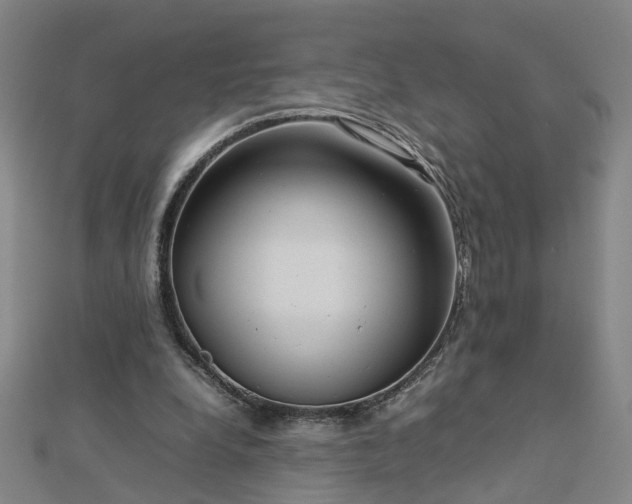 X0000112770248200908271648