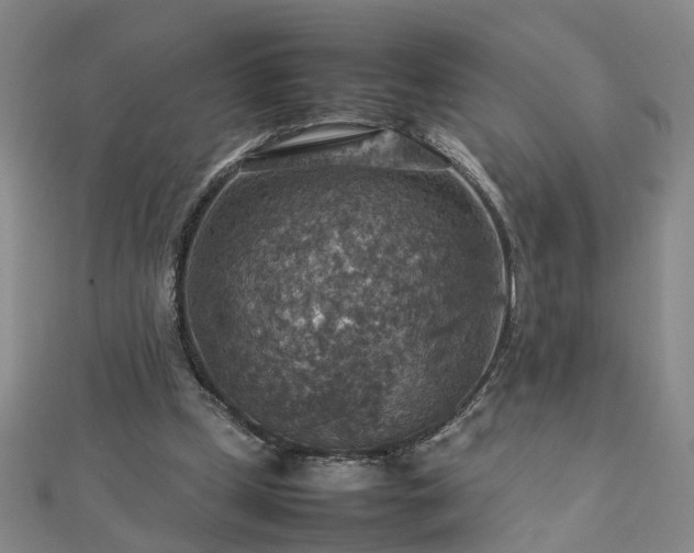 X0000112770249200908271648