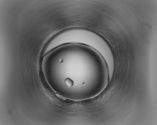 X0000112770252200908271648