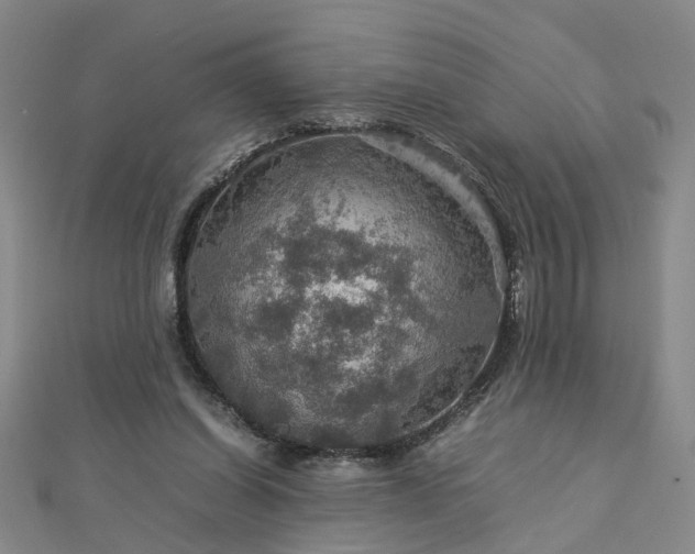 X0000112770254200908271648