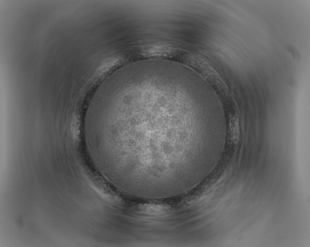 X0000112770255200908271648