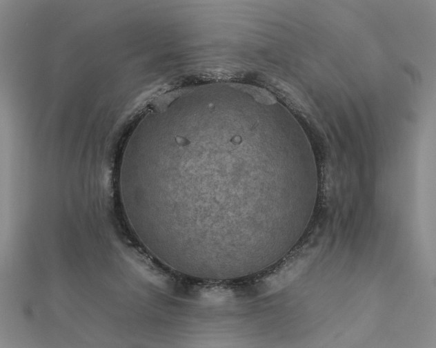 X0000112770258200908271648