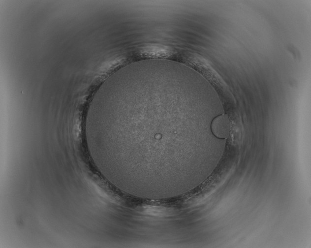 X0000112770259200908271648