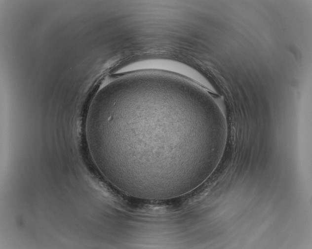 X0000112770260200908271648