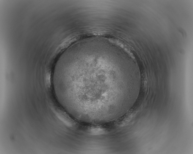 X0000112770262200908271648