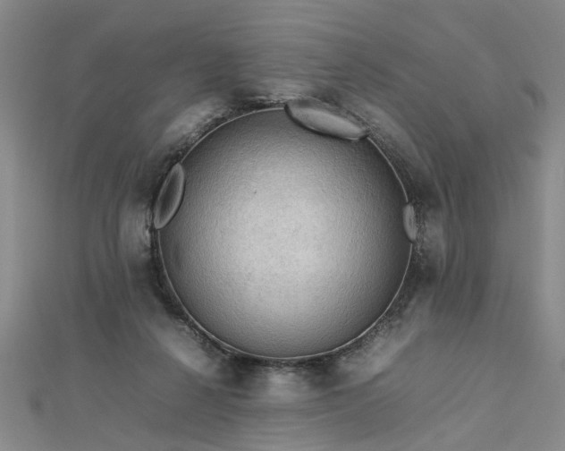 X0000112770264200908271648