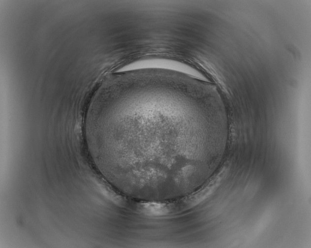 X0000112770265200908271648