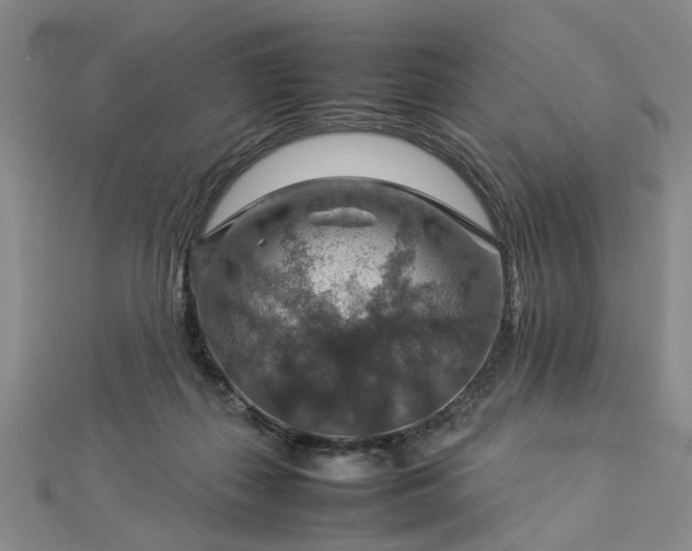 X0000112770267200908271648