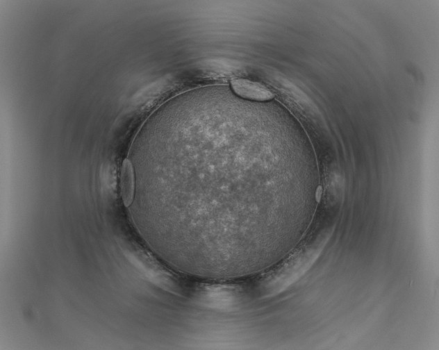 X0000112770268200908271648