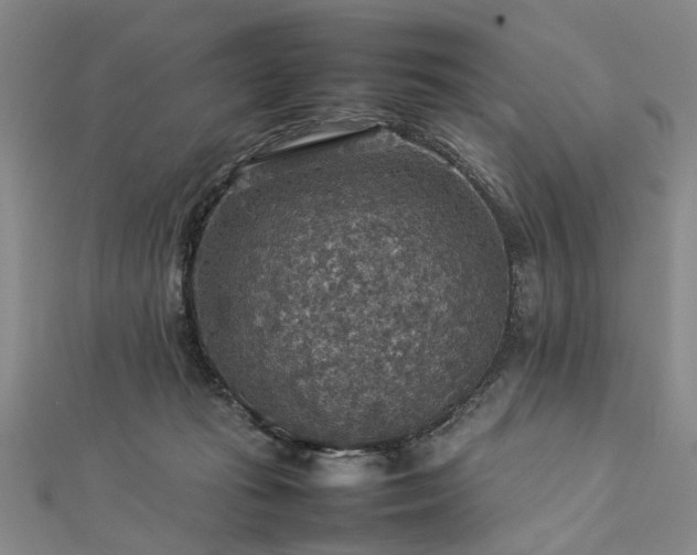 X0000112770269200908271648