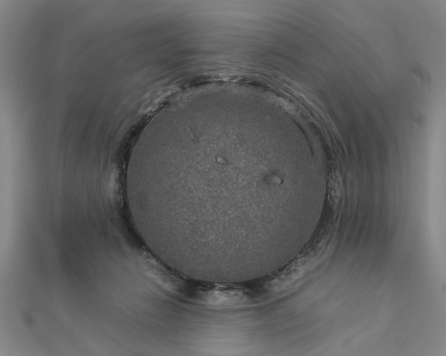 X0000112770270200908271648