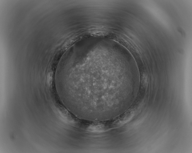 X0000112770271200908271648