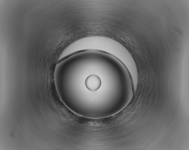 X0000112770272200908271648