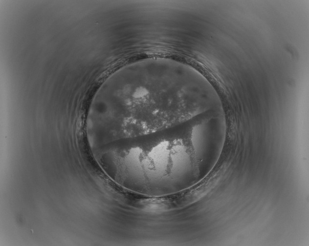 X0000112770273200908271648