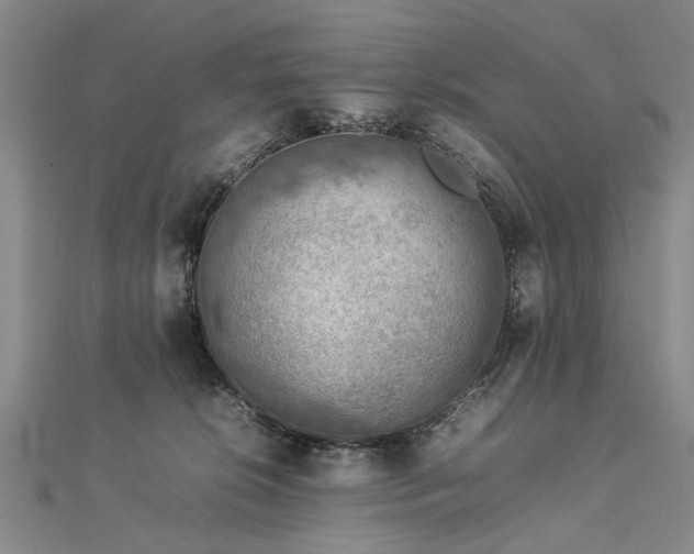 X0000112770276200908271648