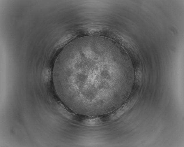 X0000112770278200908271648