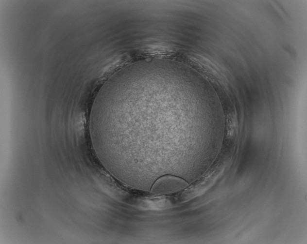 X0000112770279200908271648