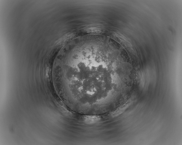 X0000112770281200908271648