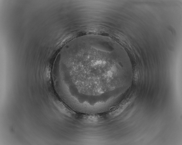 X0000112770282200908271648