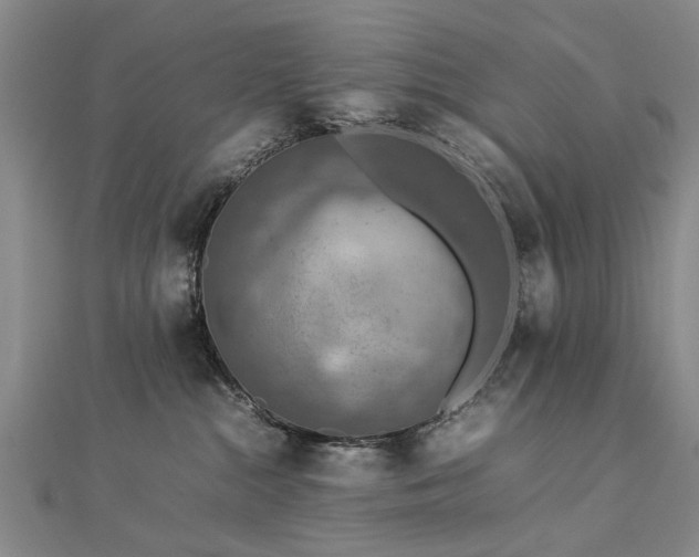 X0000112770284200908271648