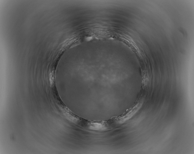 X0000112770285200908271648