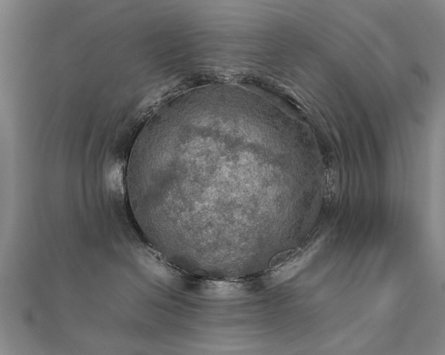 X0000112770286200908271648