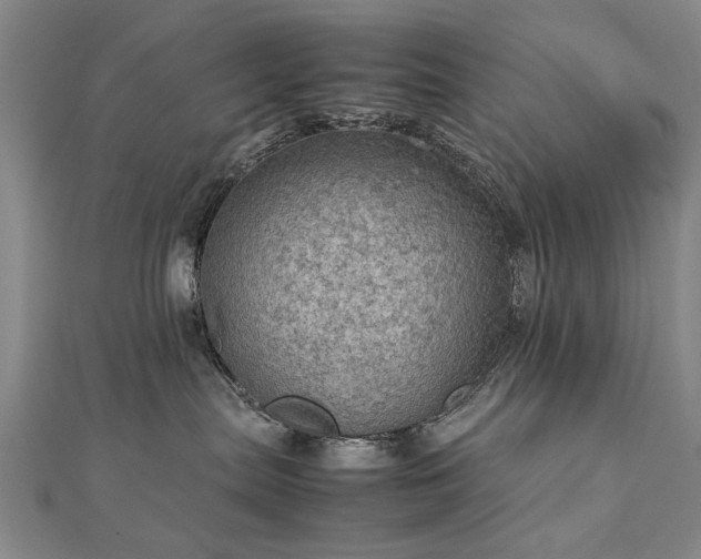 X0000112770287200908271648