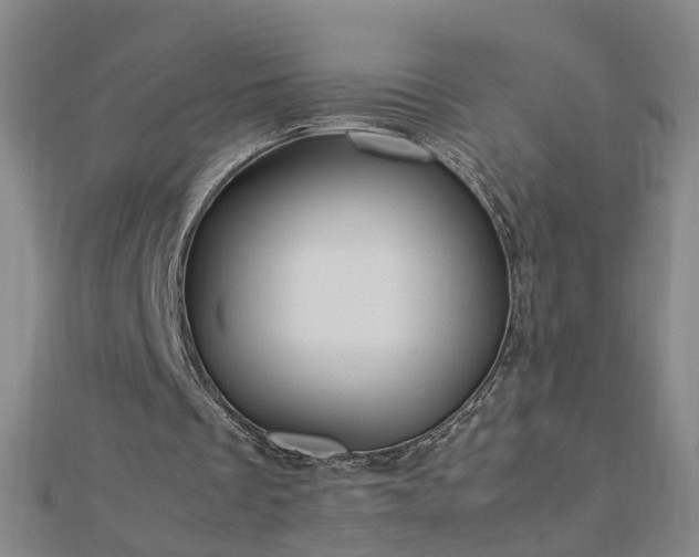 X0000112770289200908271647