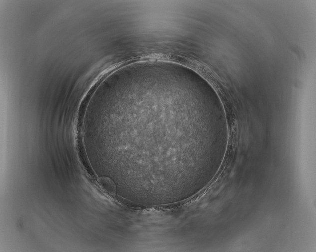 X0000112770290200908271647