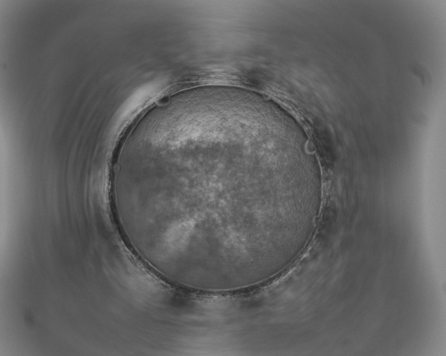 X0000112770293200908271647