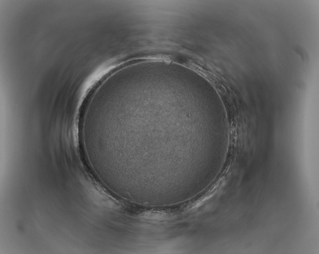 X0000112770294200908271647